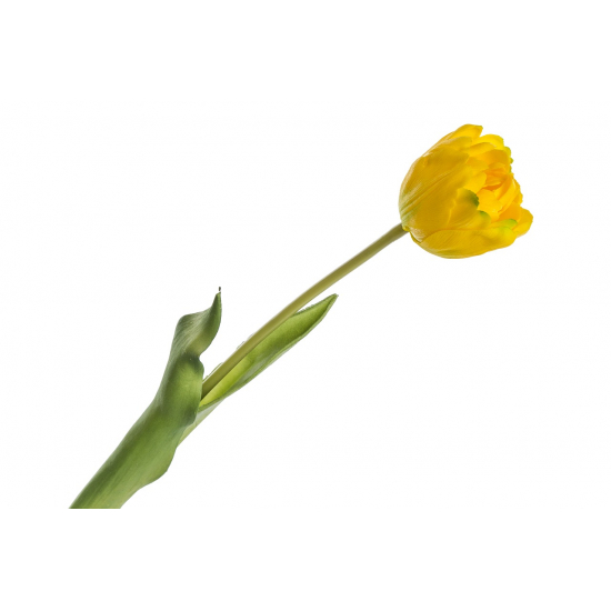 Selyemvirág gumi tulipán H44 sárga sárga