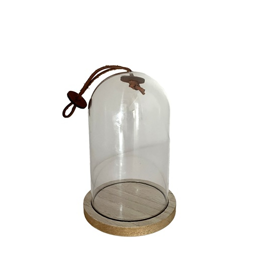 Búra műanyag fa talpon 12*18cm átlátszó