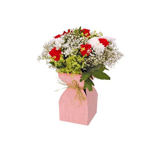 Váza papír 11,5xH21cm fóliázva piros