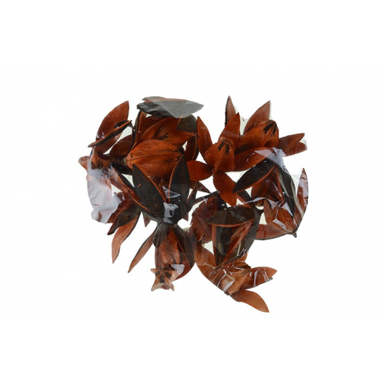 Wildlilie narancs (0470 3 202410004)